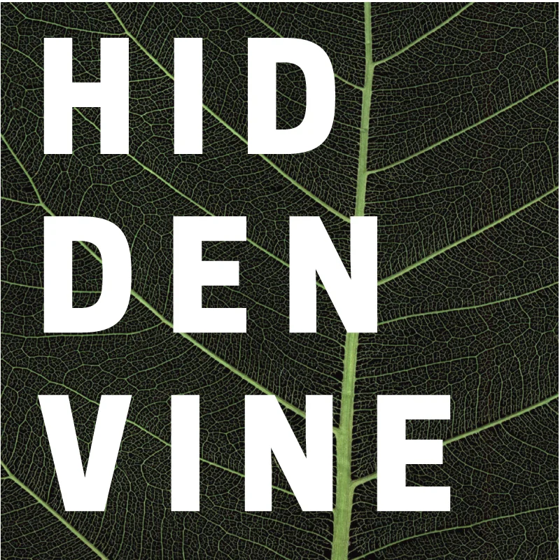 Hidden Vine, Series 2
