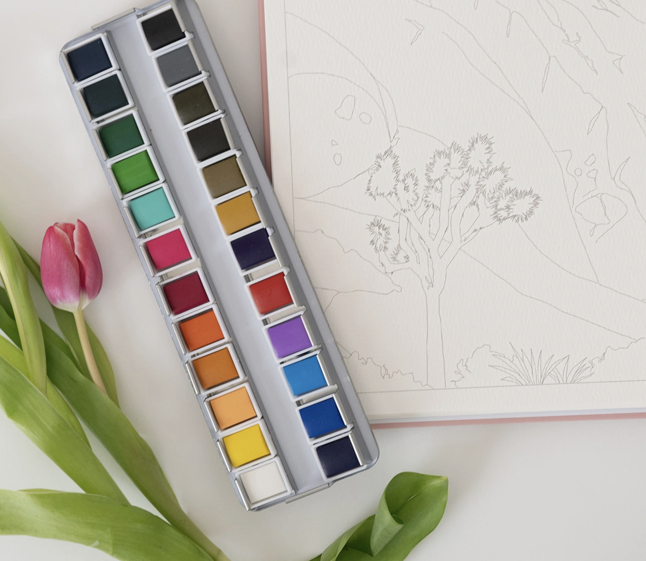 24 Color Watercolor Set
