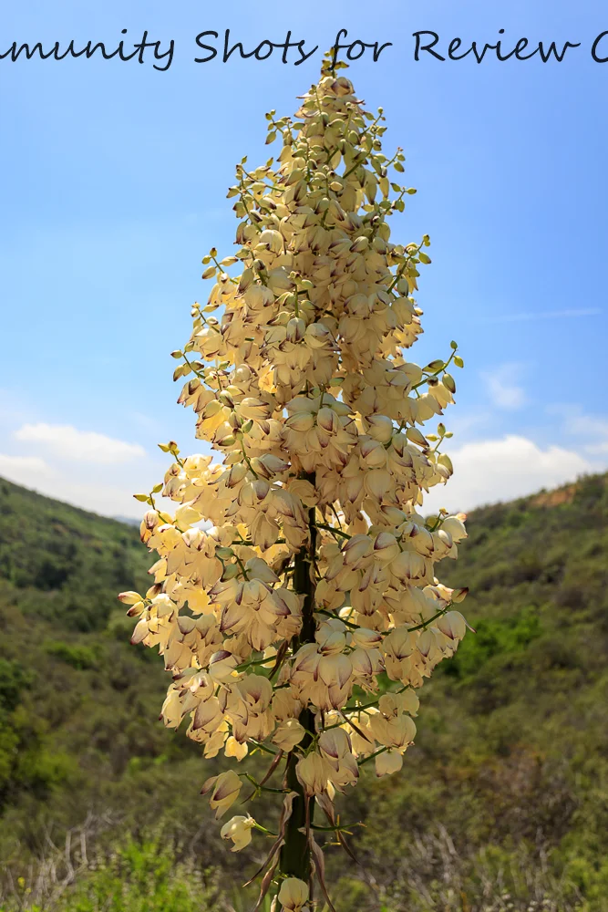 7P8A9922-Edit.jpg