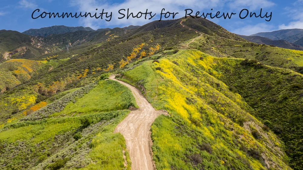 DJI_0012-Edit.jpg