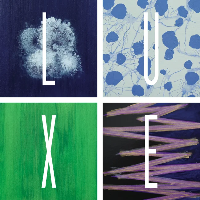 LUXE logo designed using four pieces from the Barry Lantz Art Collection