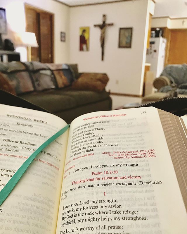 &quot;I love you, Lord, my strength, my rock, my fortress, my savior. My God is the rock where I take refuge; my shield, my mighty help, my stronghold.&quot; #psalm18 #breviaryviews