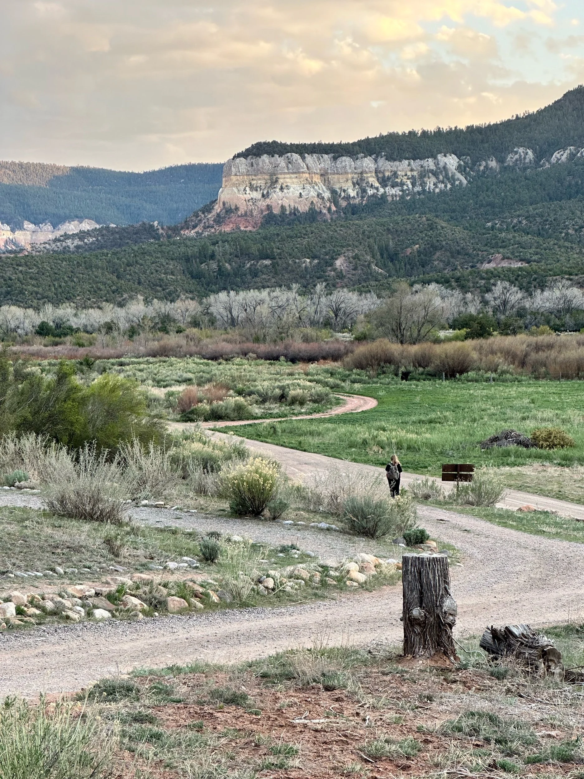 The Fruit of Silence