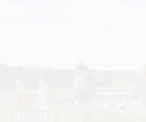 nellies_banner_two-3.gif