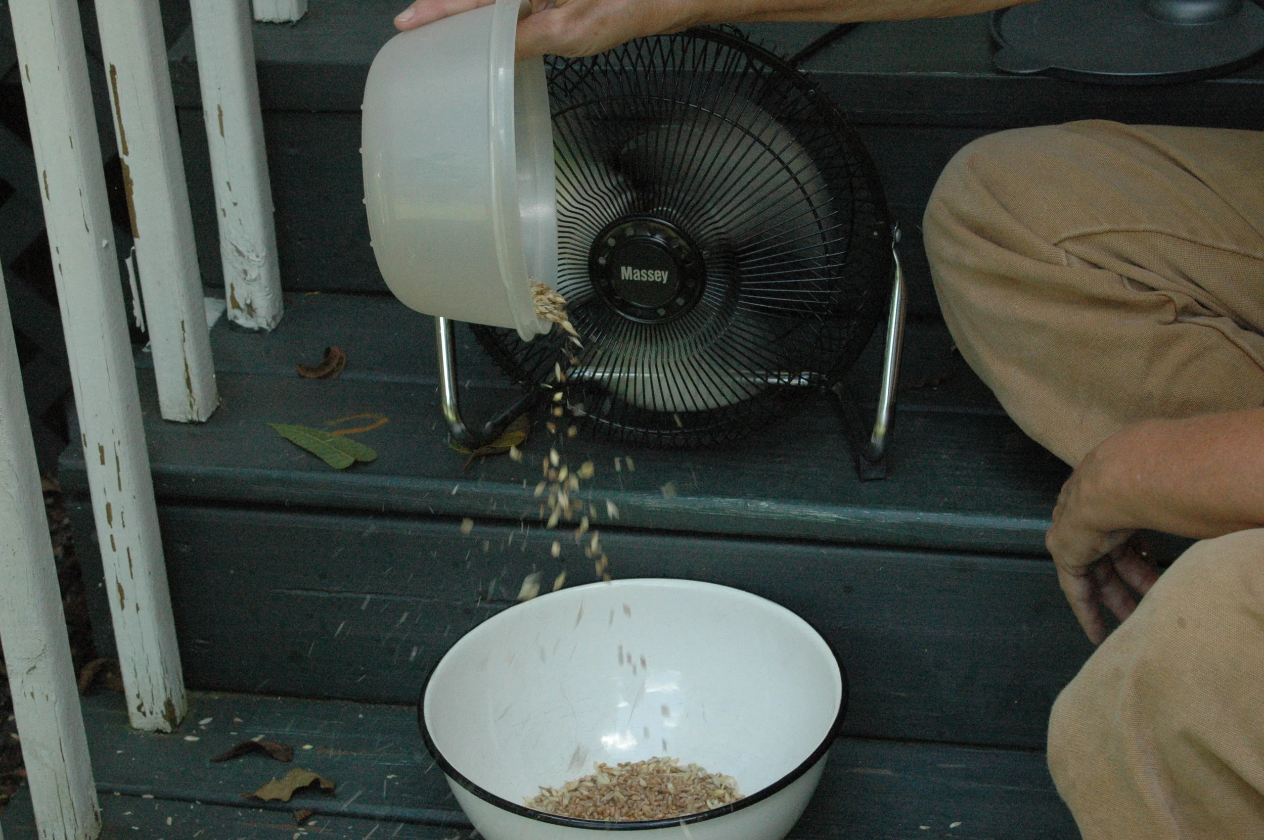 . Without a grain mill, I wasn’t sure I could turn my wheat into flour, but a blender worked just fine. From there I knew what to do with the flour since baking bread isn’t a new skill for me. The recipe is one I’ve used for the past 30 years or more - one I tore out of the Ladies Home Journal magazine.