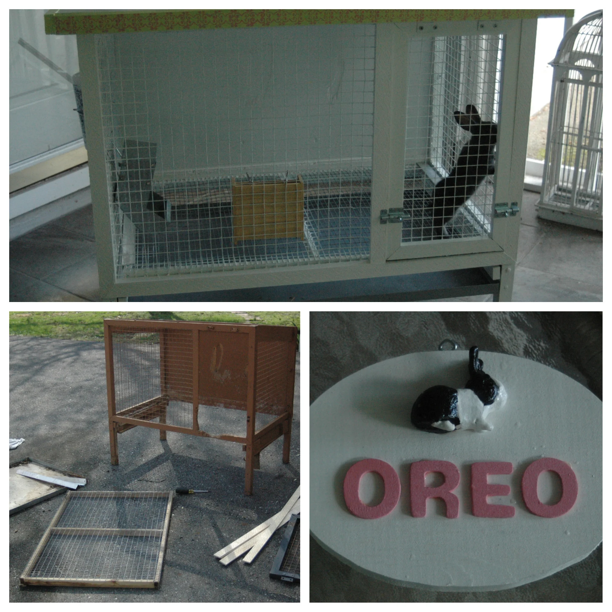 rebuilding rabbit hutch.jpg