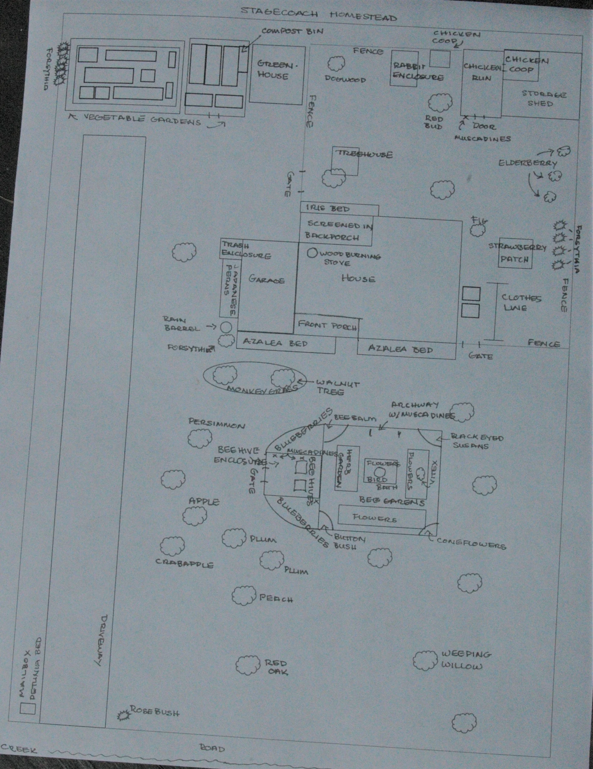 Homestead Plan edited.jpg