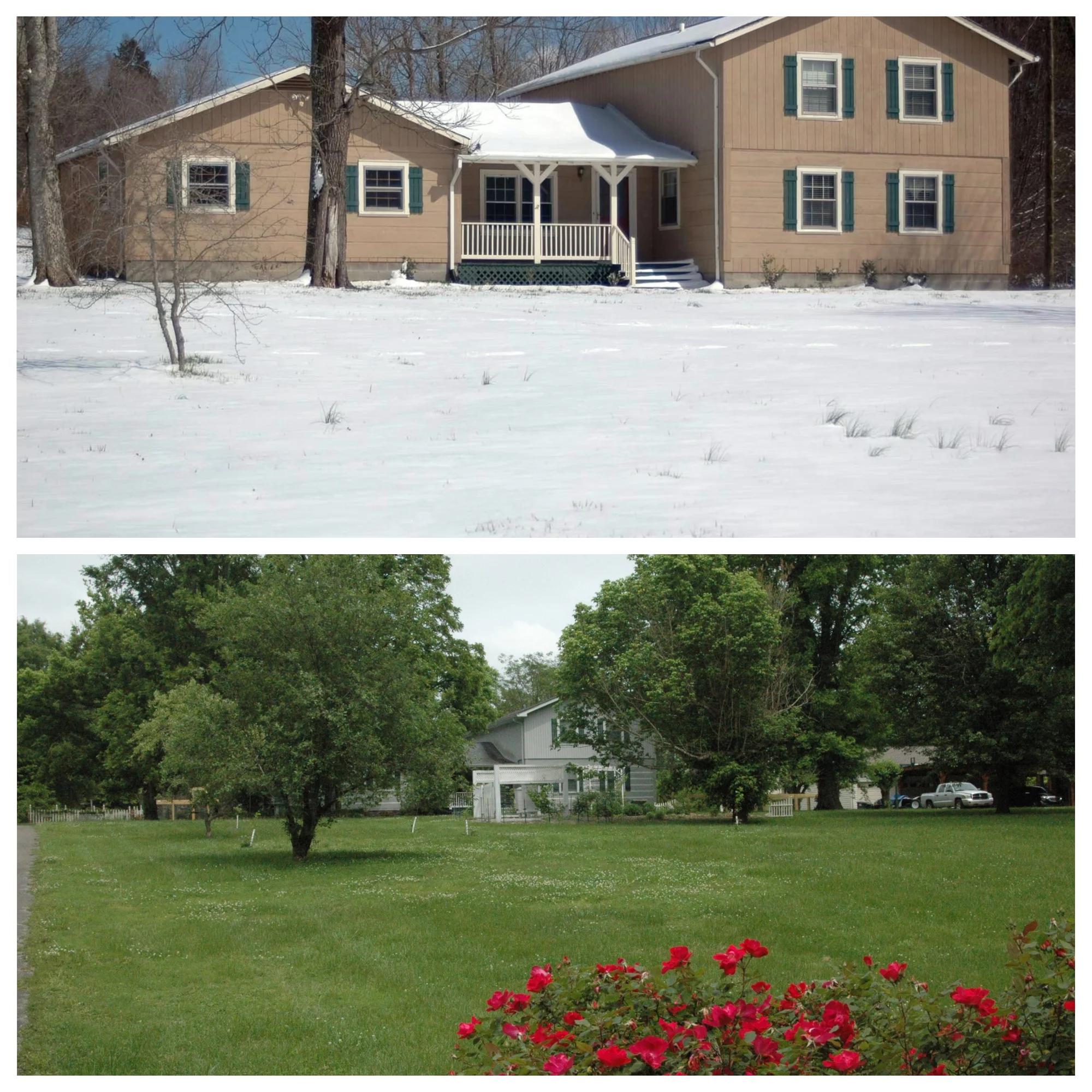 The first picture is how the house looked when we bought it. Apparently they didn’t like living in a log home so they painted it! The second picture is what our homestead looks like now. In case you wondered, most of my gardens are behind the house.