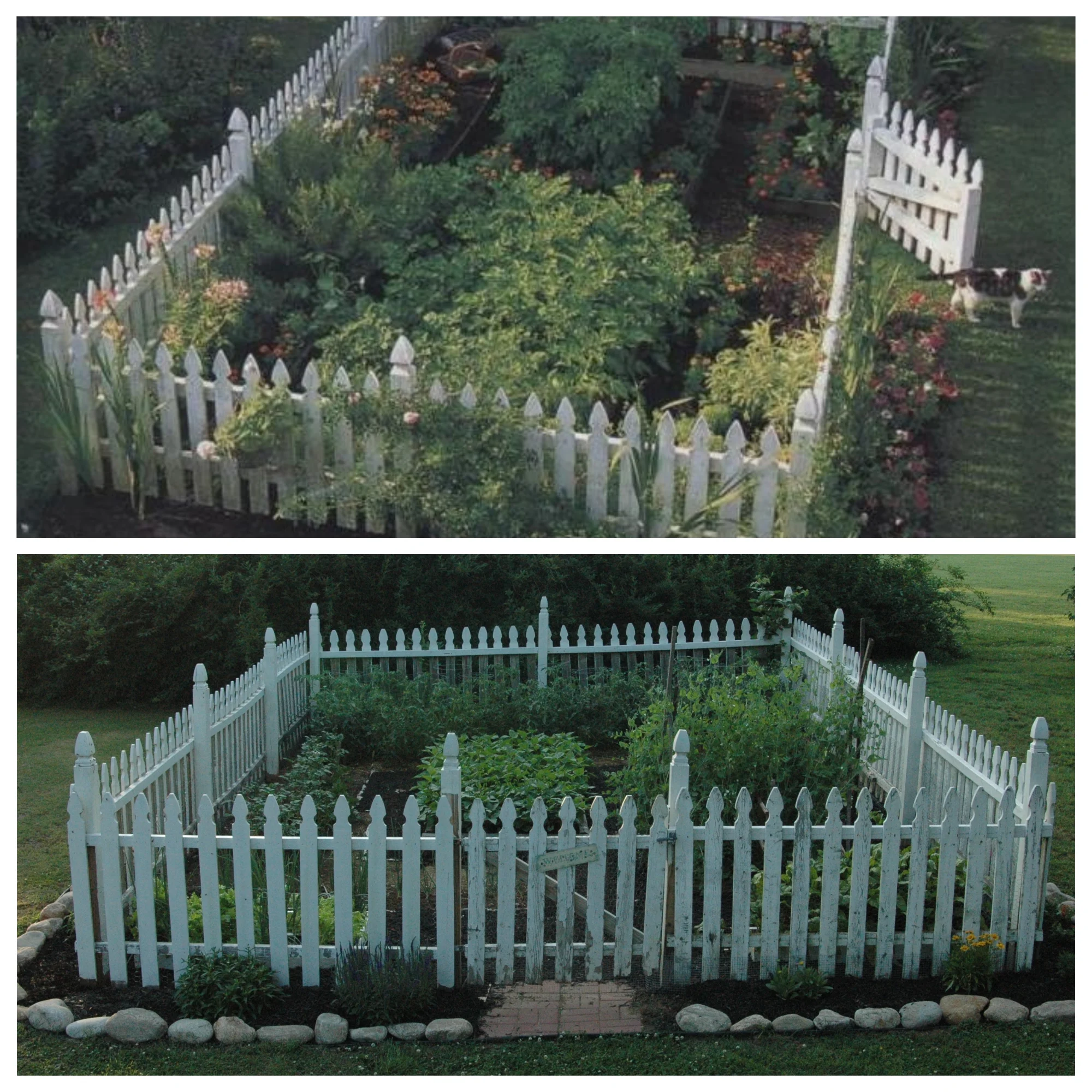 Top picture: Photo of my ideal garden; Bottom picture: The garden I created.