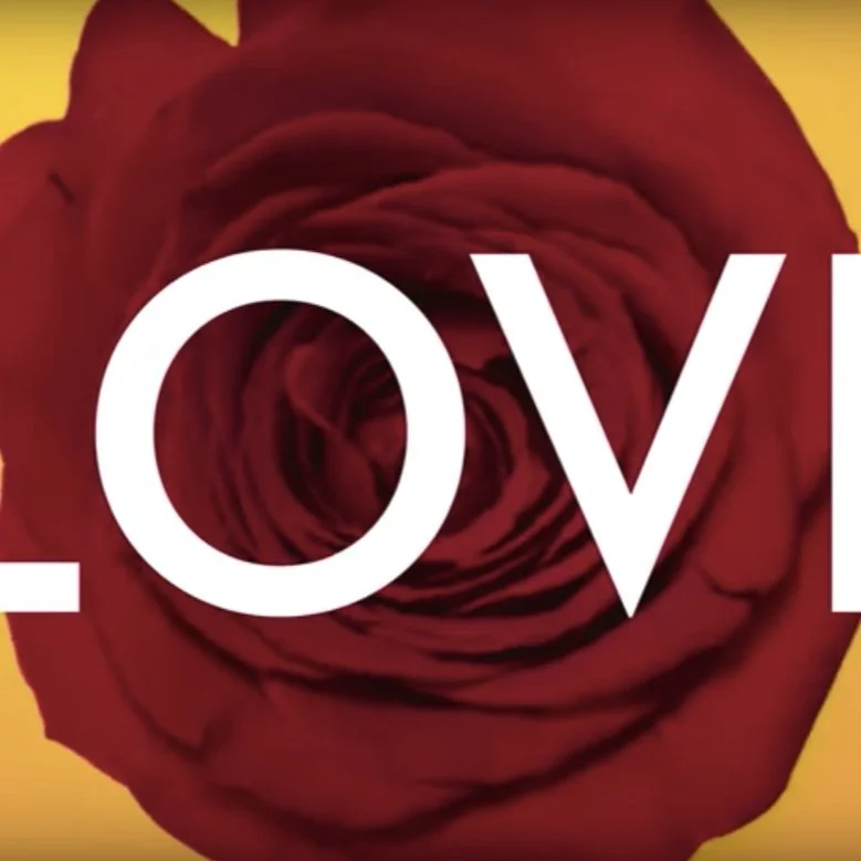 OLAY LIKE/LOVE