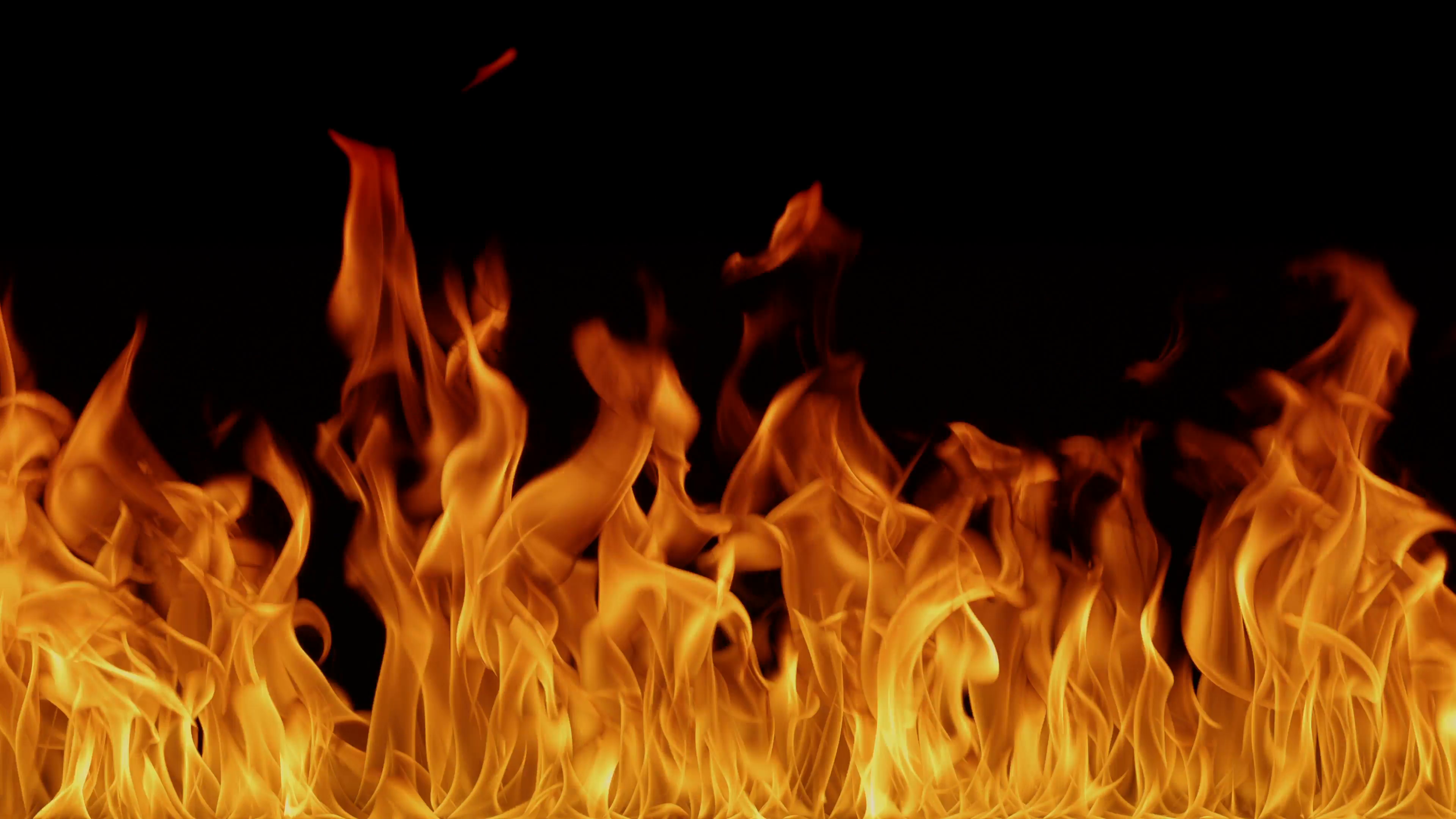 IGNITE: The Church Reborn