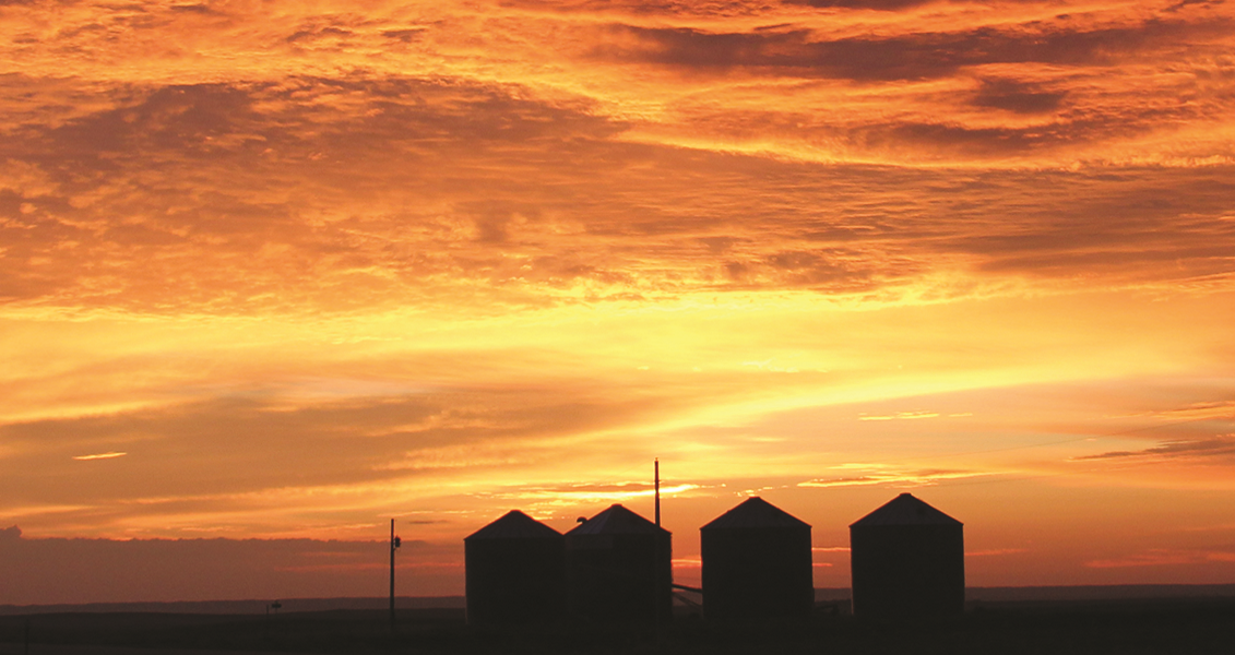 grainsunset_2.png