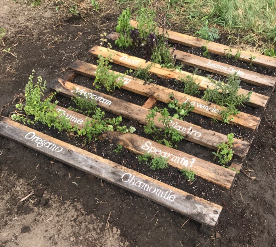 1-Pallet herb garden added to Sunrise Garden.jpg