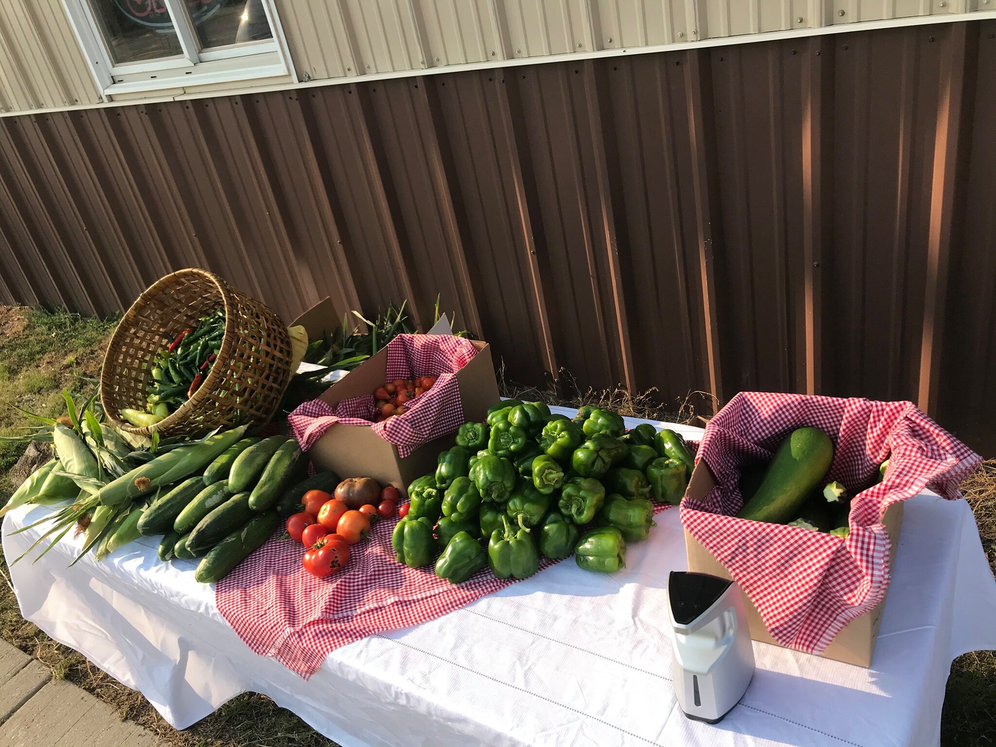 Produce given away at Martin Aug community meal.jpg