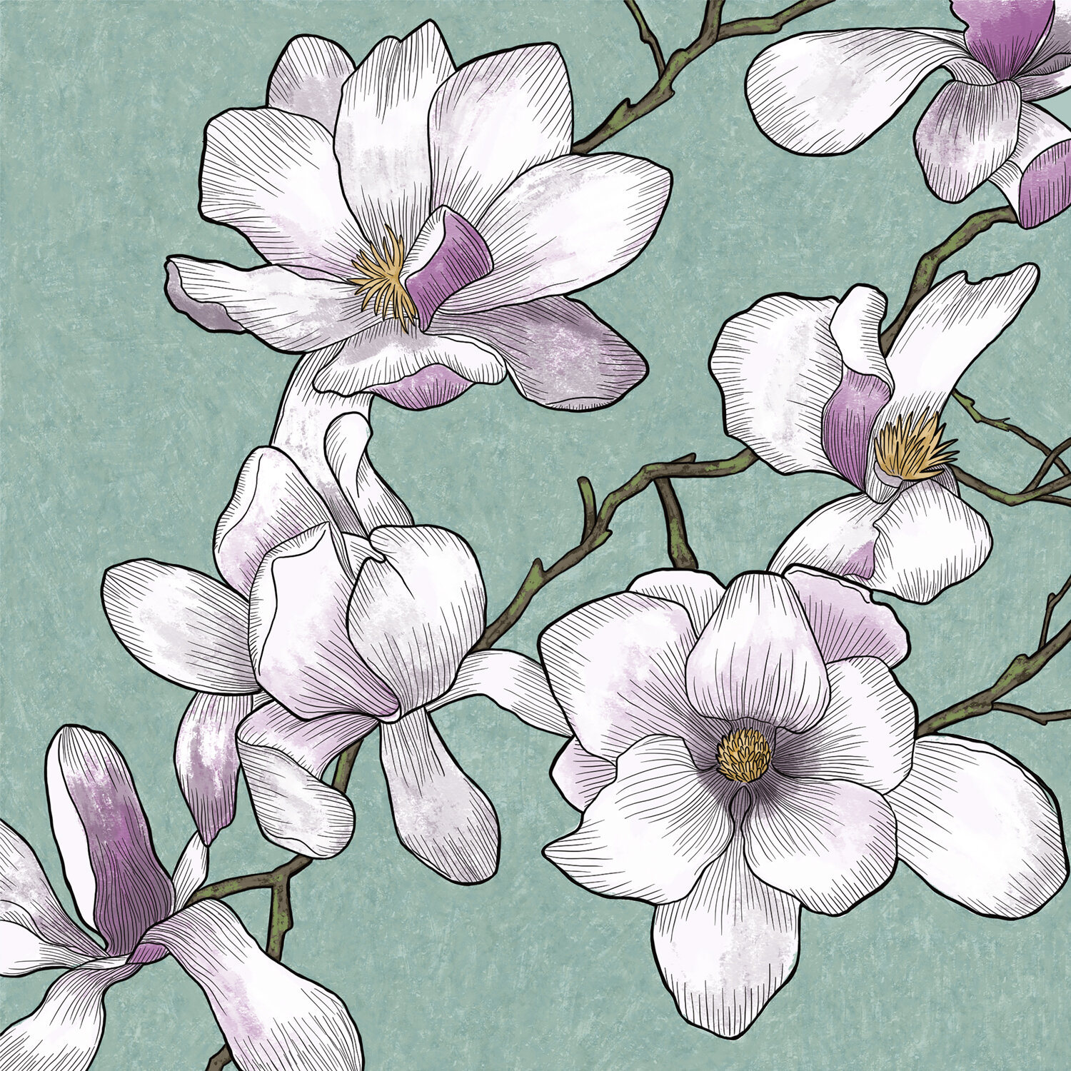 Magnolias.jpg