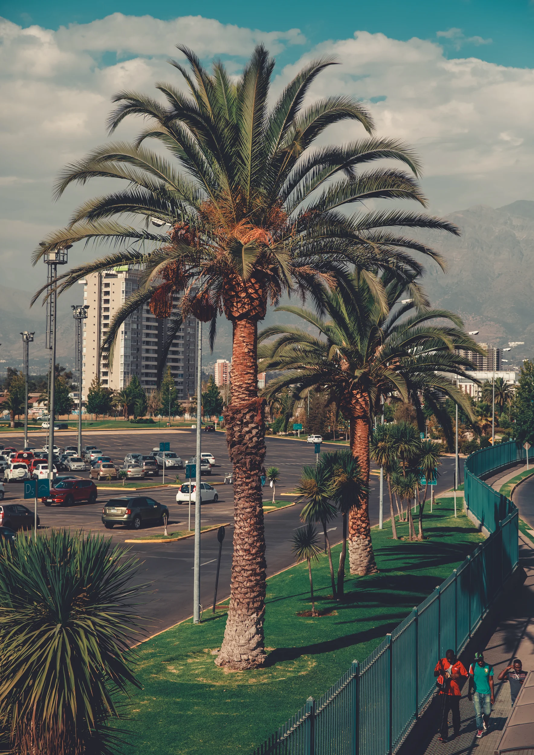 Squarespace-South America 2019-6134.jpg