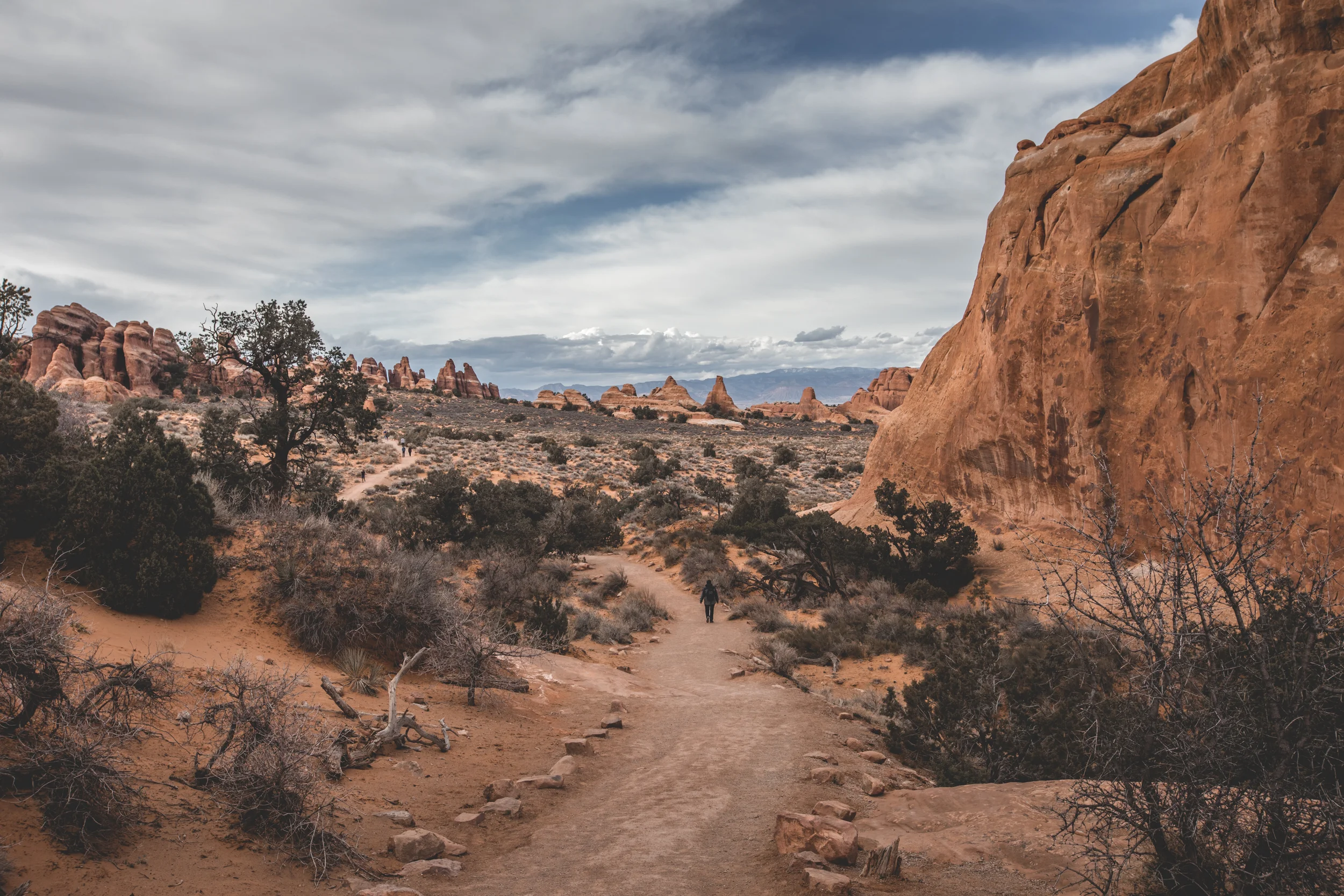 Squarespace-2018.03.15-Christopher-Alejandro.com-6T8A2166.jpg