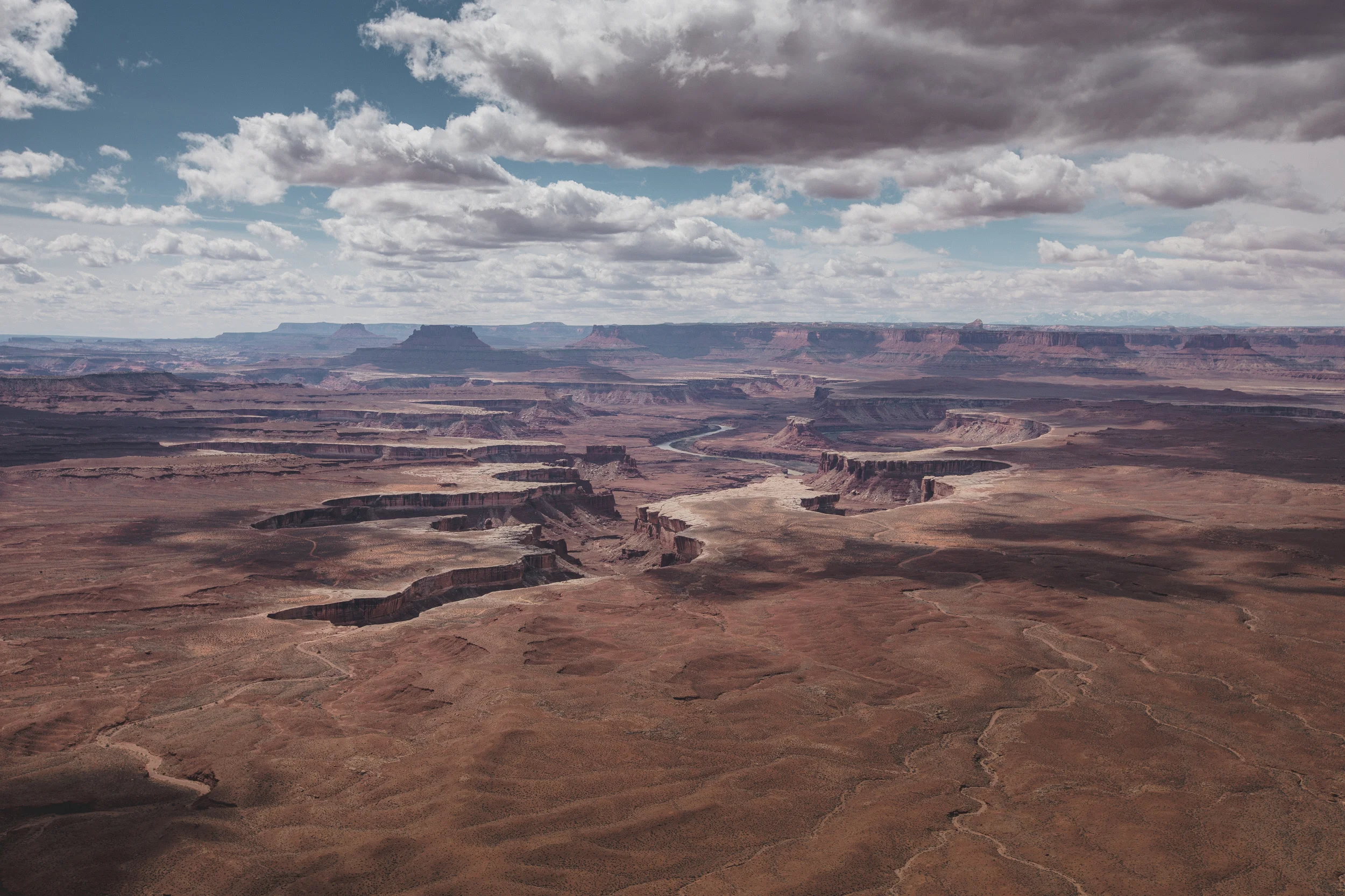 Squarespace-2018.03.16-Christopher-Alejandro.com-6T8A2298.jpg