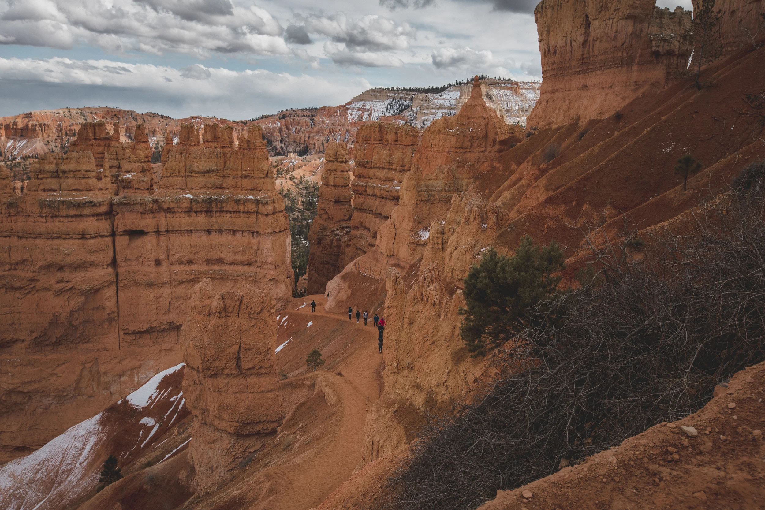 Squarespace-2018.03.17-Christopher-Alejandro.com-6T8A2612.jpg