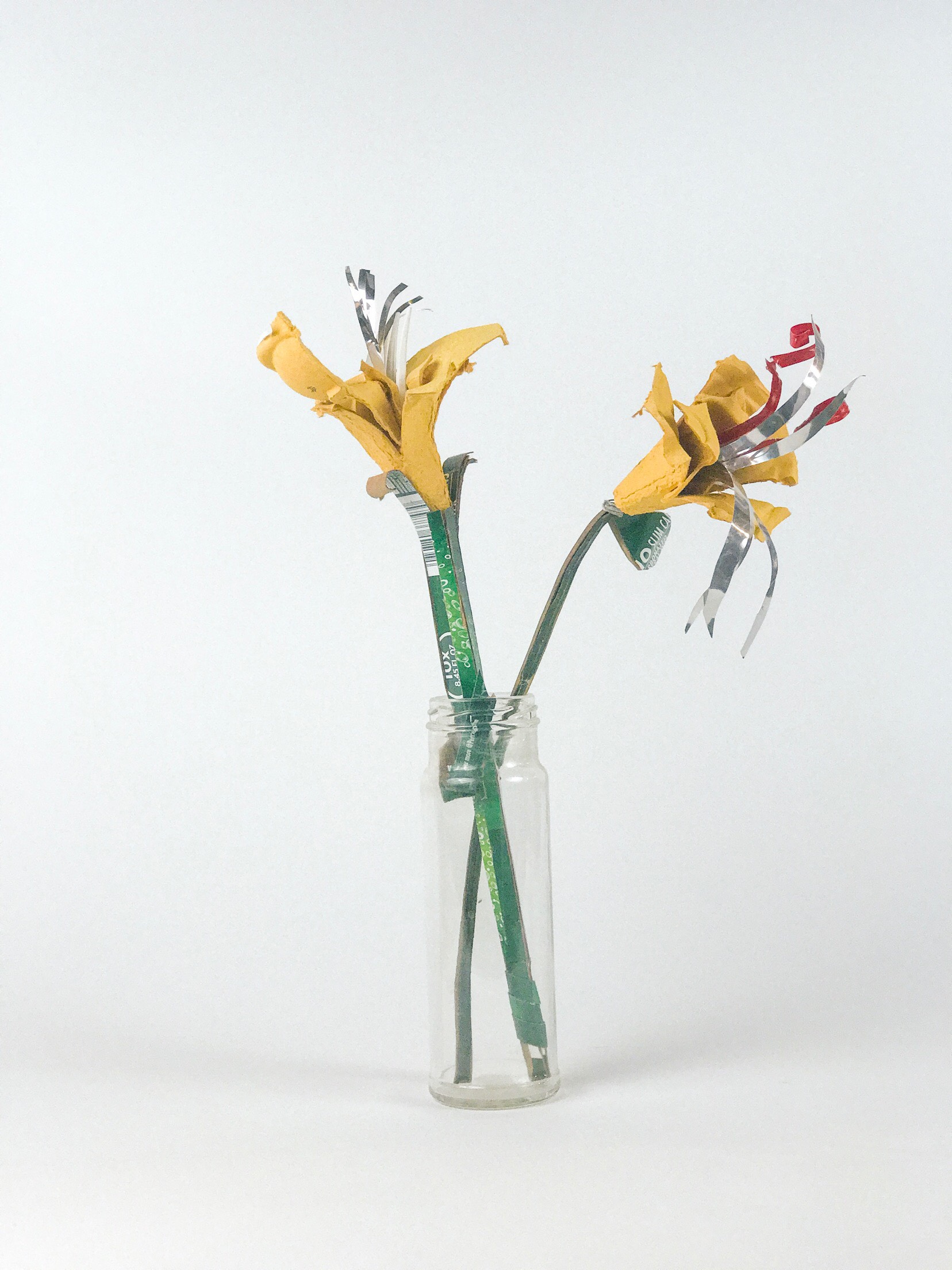 Cardboard flowers in jar. Perrier cardboard box, Happy Egg carton, Second Chance beer can, plastic fork and red twist tie. Jamia Weir, 2019. (Photographed by Cecily Brown)