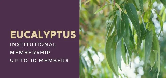 renew_eucalyptus_rextilearts.jpg