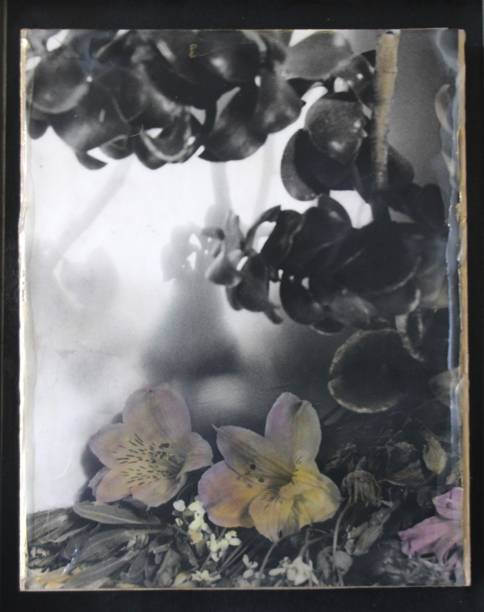 Patricia Scialo_     In Memory                     .JPG