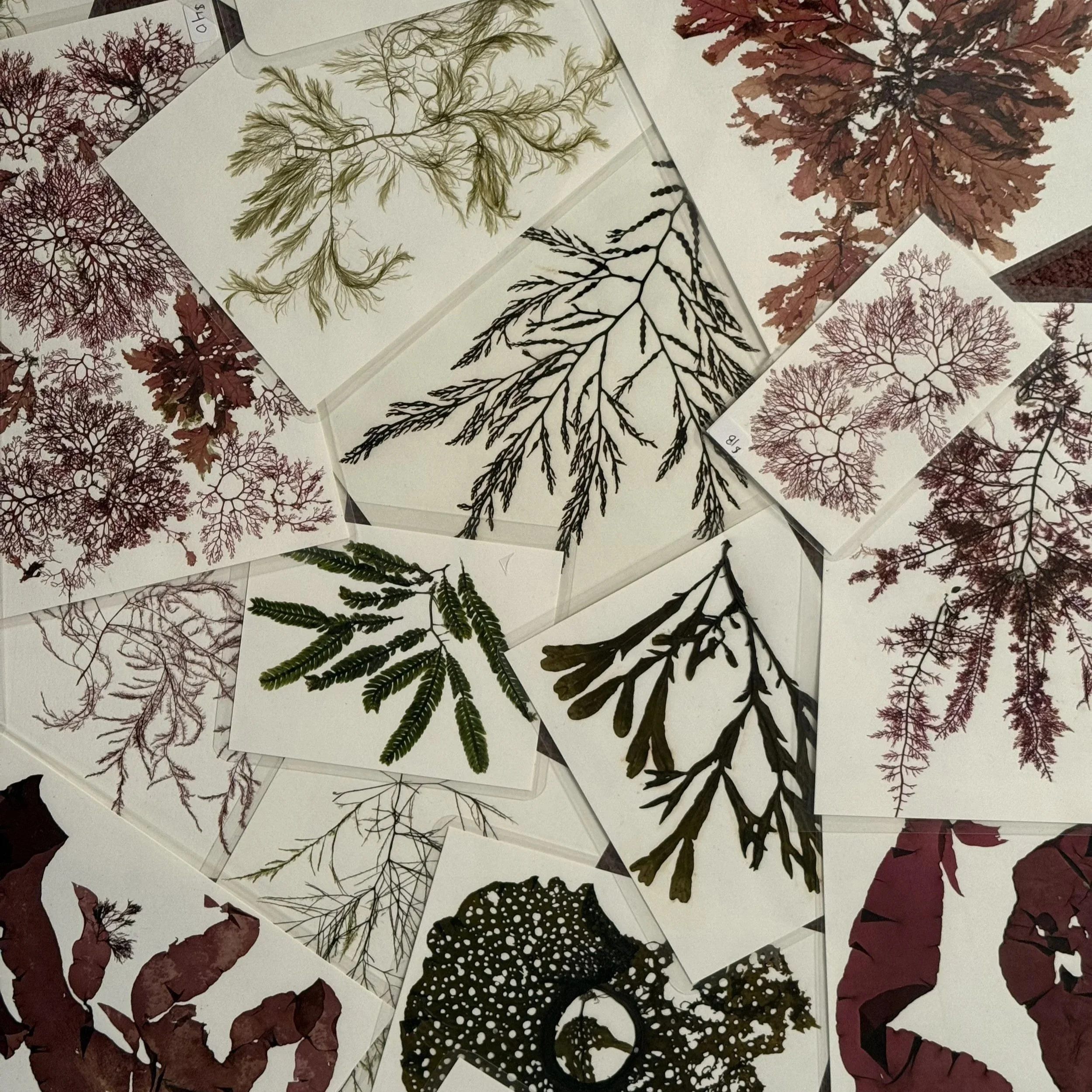 Angela J. Jones Ceramics and Art