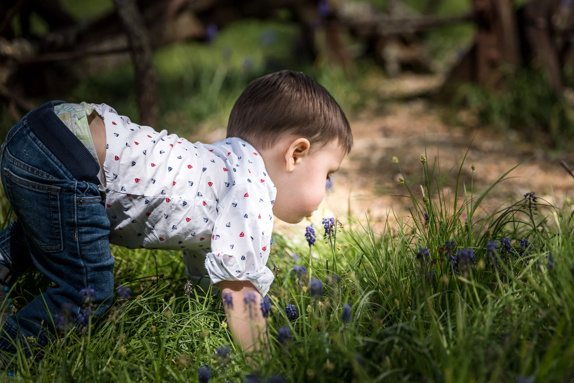 boy child children portrait photo shoot ellicia photos smell flower grass spring cute lovely dynamic dramtic creative spring dark straight hair cider hill state park penn farm warm light daytime_.jpg