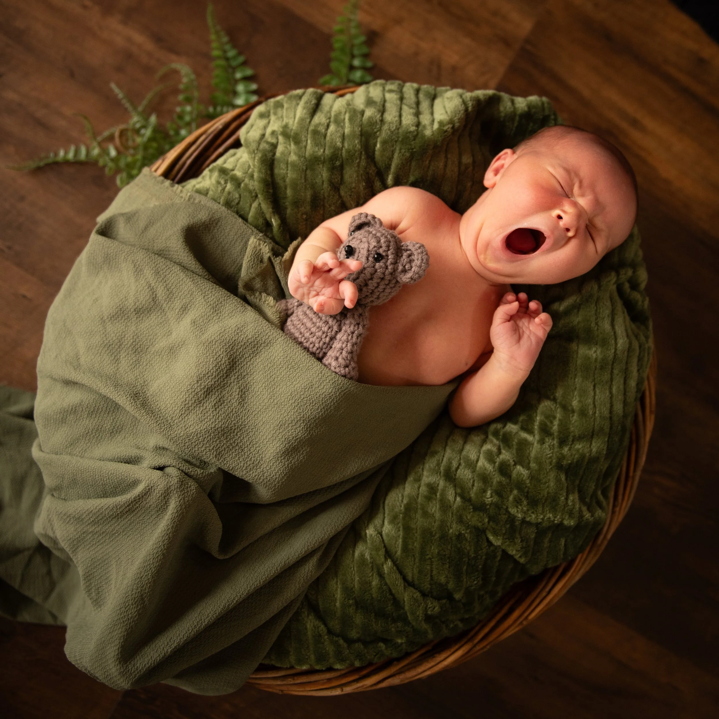 Tristan (17 of 35).jpg