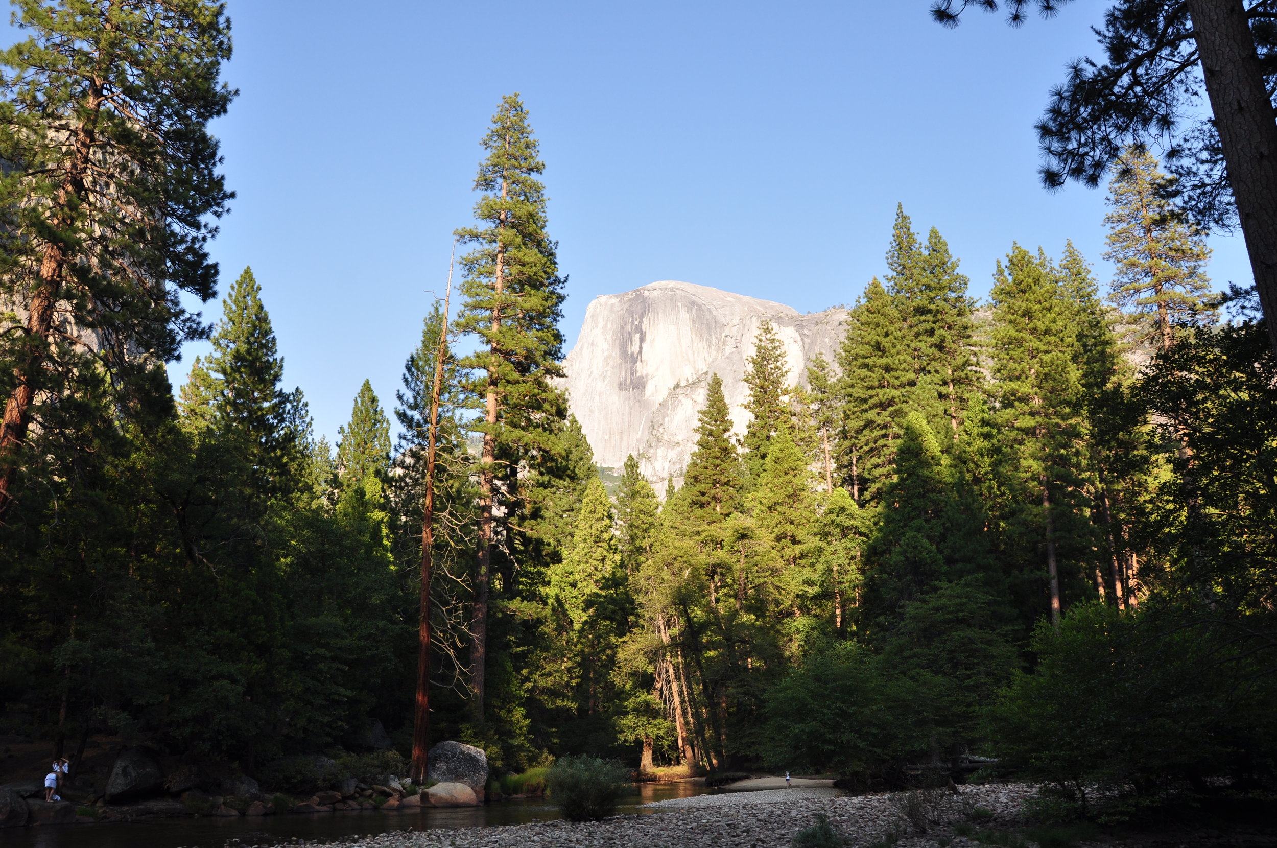 DSC_0263.JPG