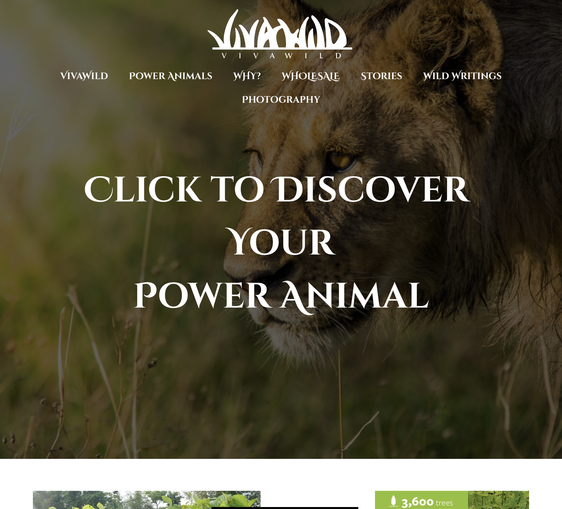 Screen Shot 2018-08-30 at 3.07.16 PM.png
