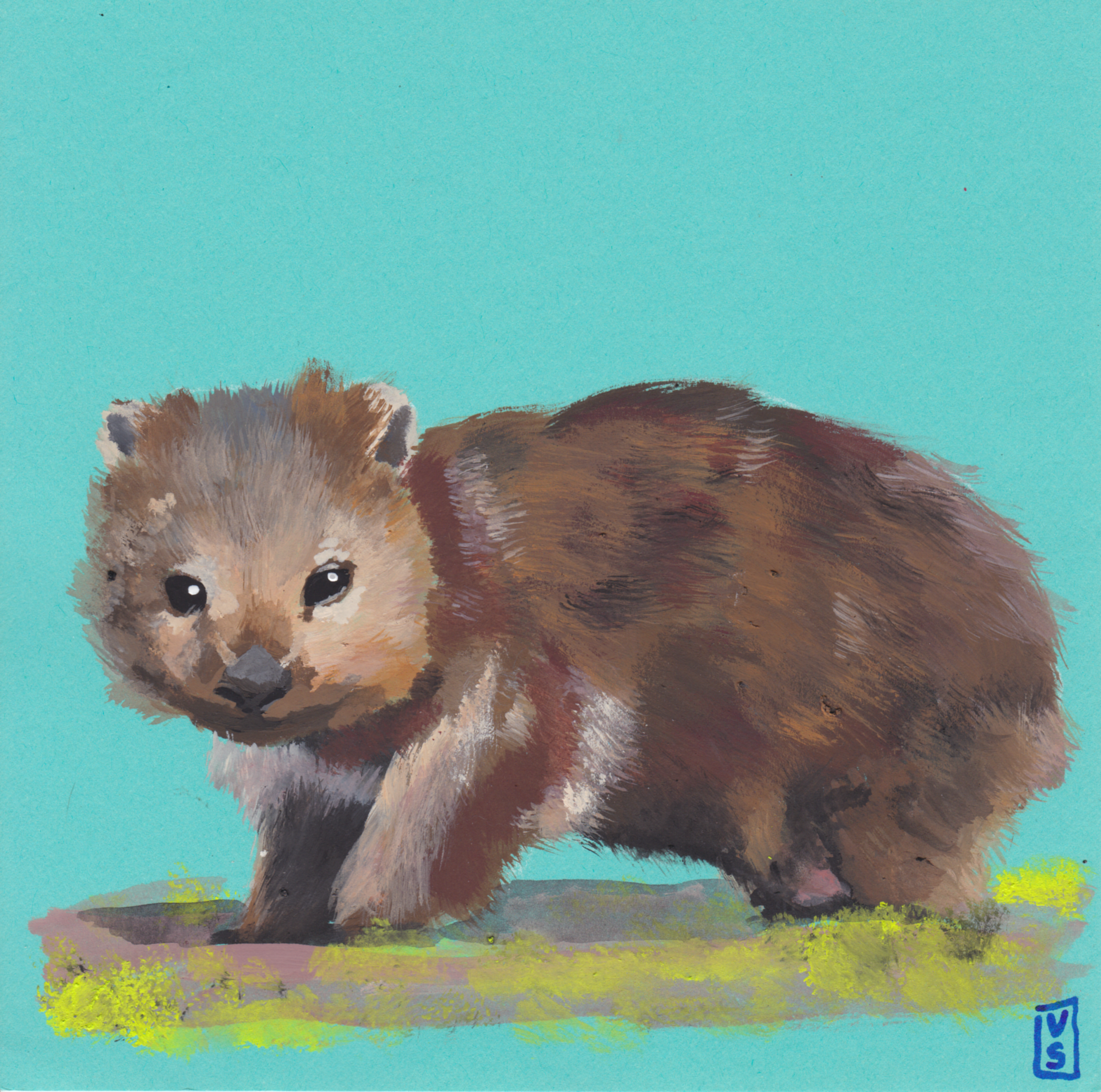 wombat.png