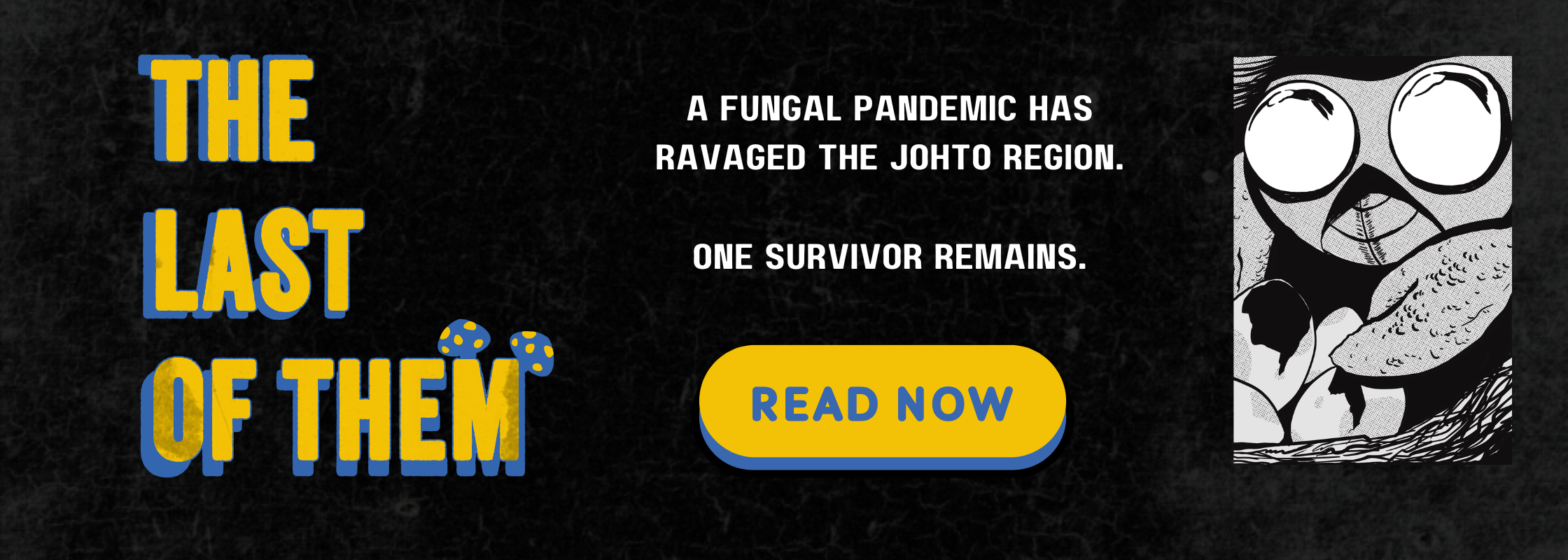 Header slides for website(1).png