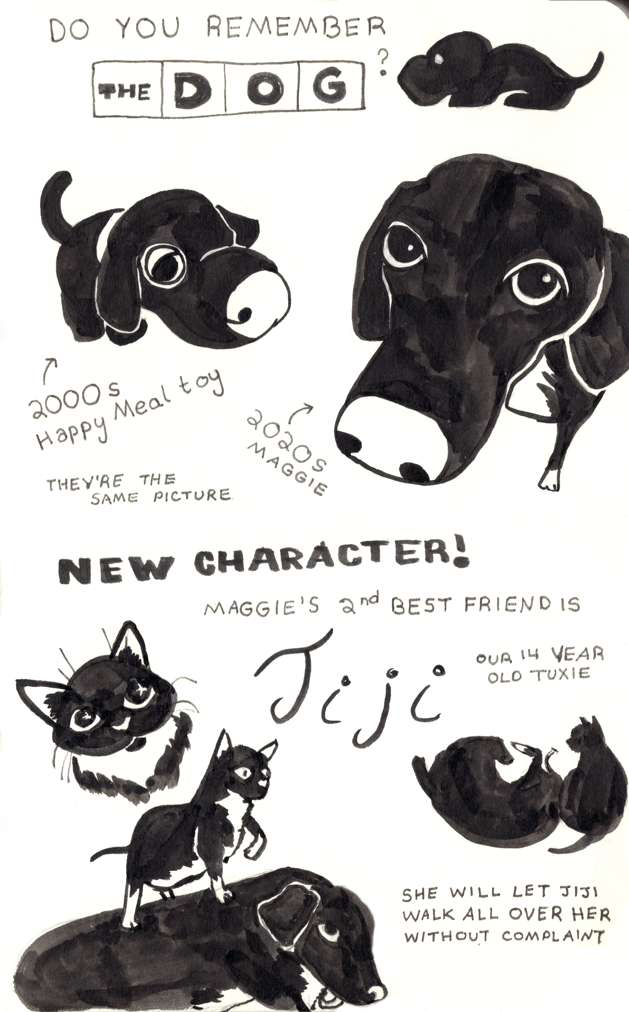 maggie 3.png