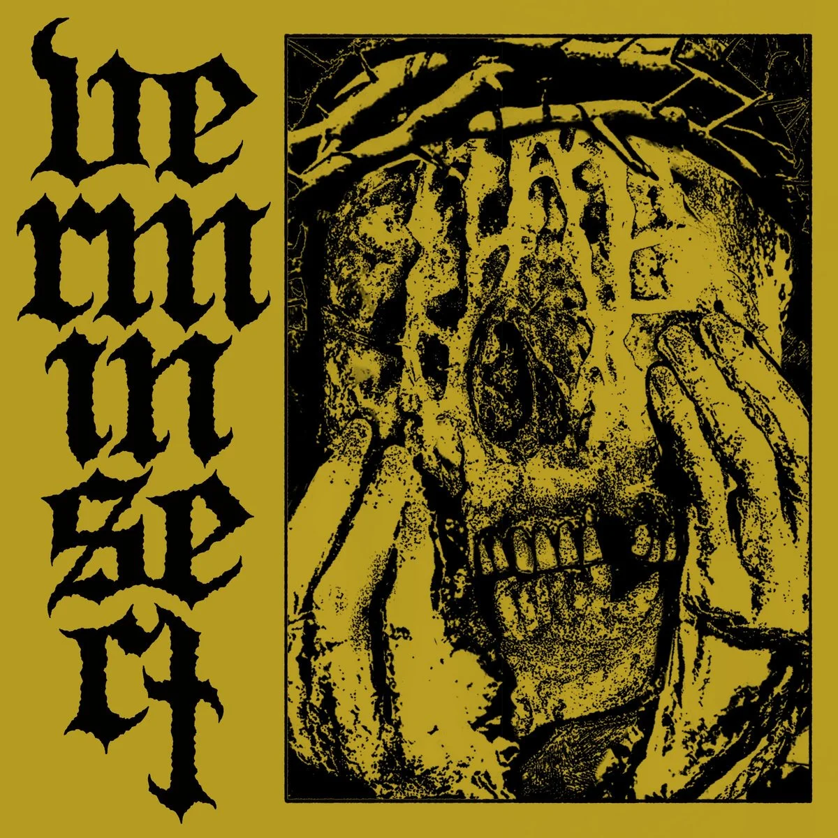 Verminsect - Demo