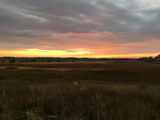 Grassy sunset along the Stono River