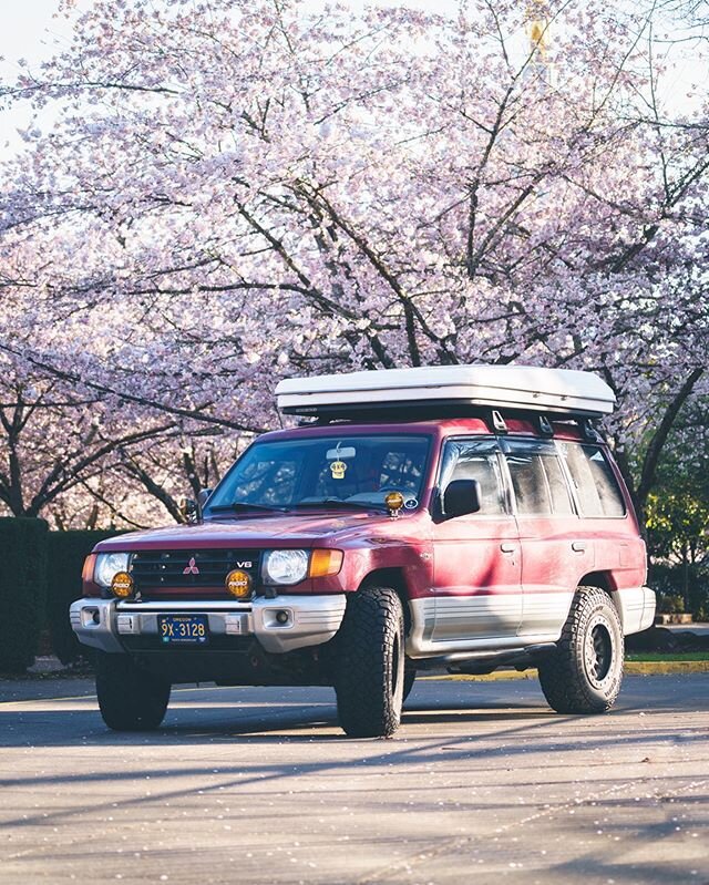 Outings for fresh air this weekend at the cherry blossoms💃🏻🌸
#driveyourambition 
#bealonetogether
.
.
.
.
#drivecampexplore #camperlifestyle #mitsubishi #carcamping #everytrailconnects #tentcamping #tenting #rooftoptentliving #homeiswhereyouparkit