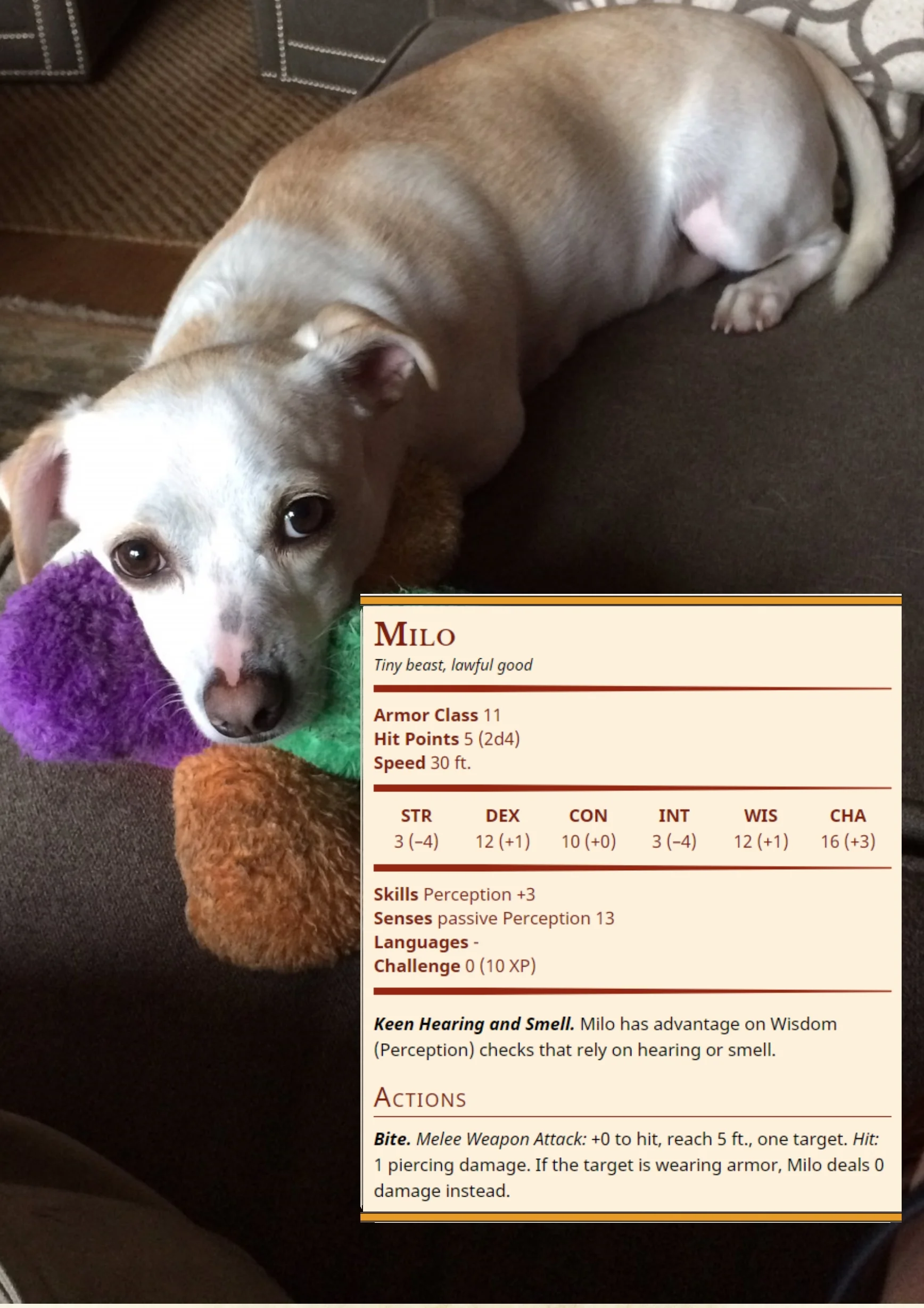 Milo