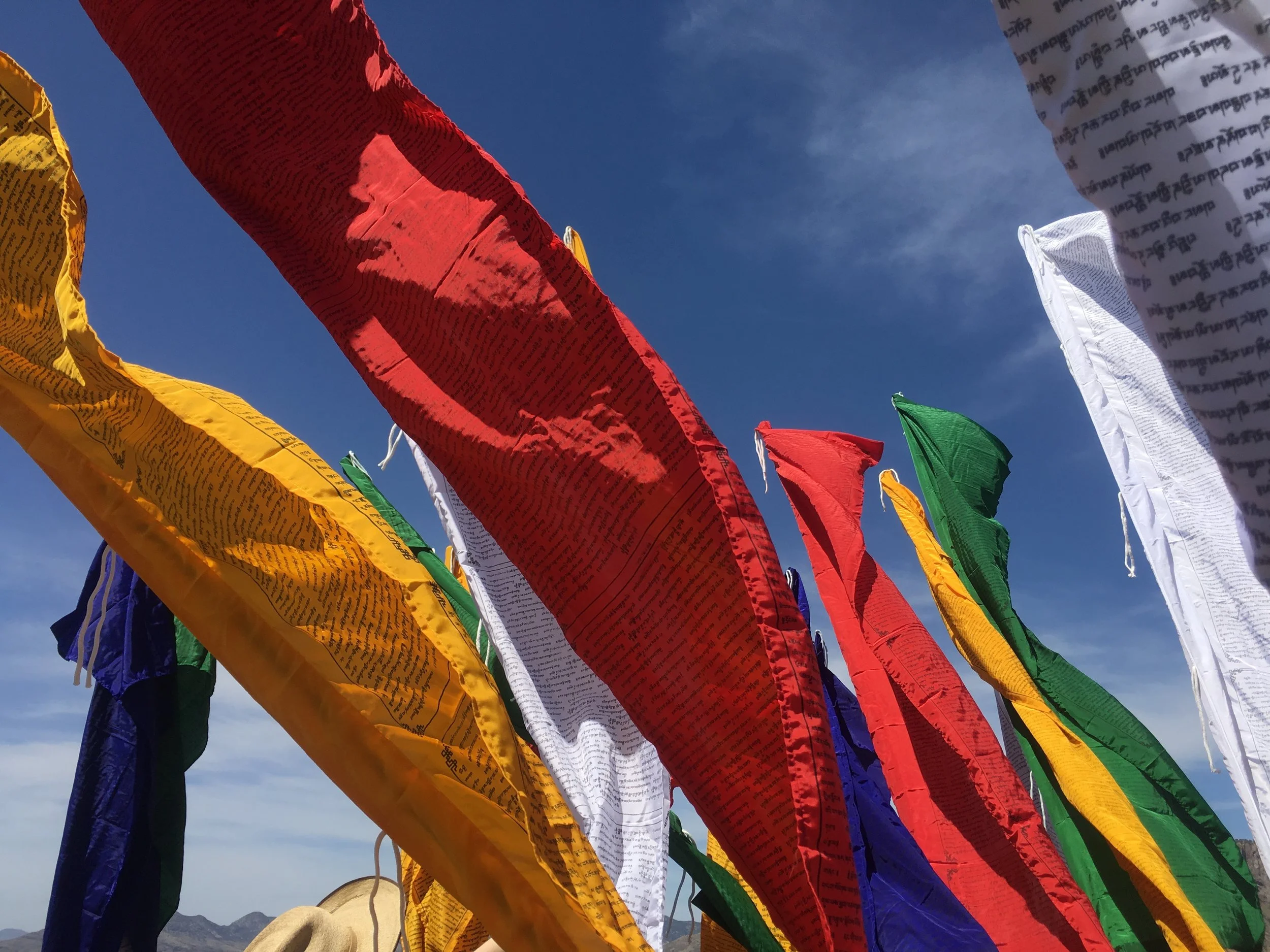   News   Find out more   Click Here  