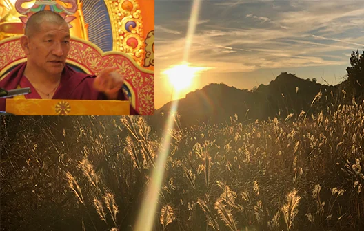   HH Getse Rinpoche Stupa   Find out more   Click Here  