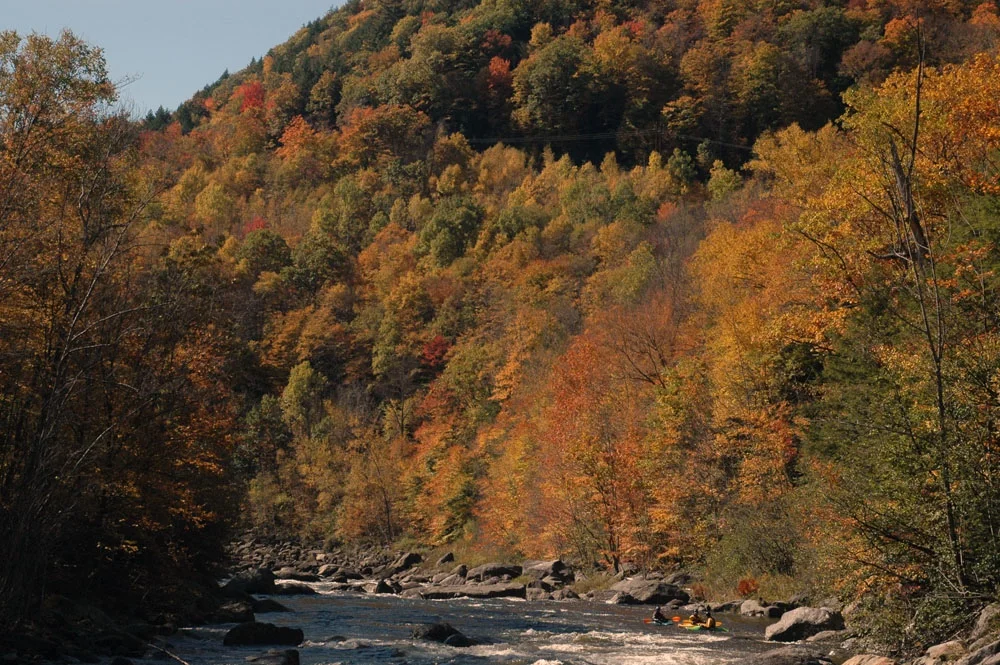 081012_Deerfield_DSC_2757.jpg