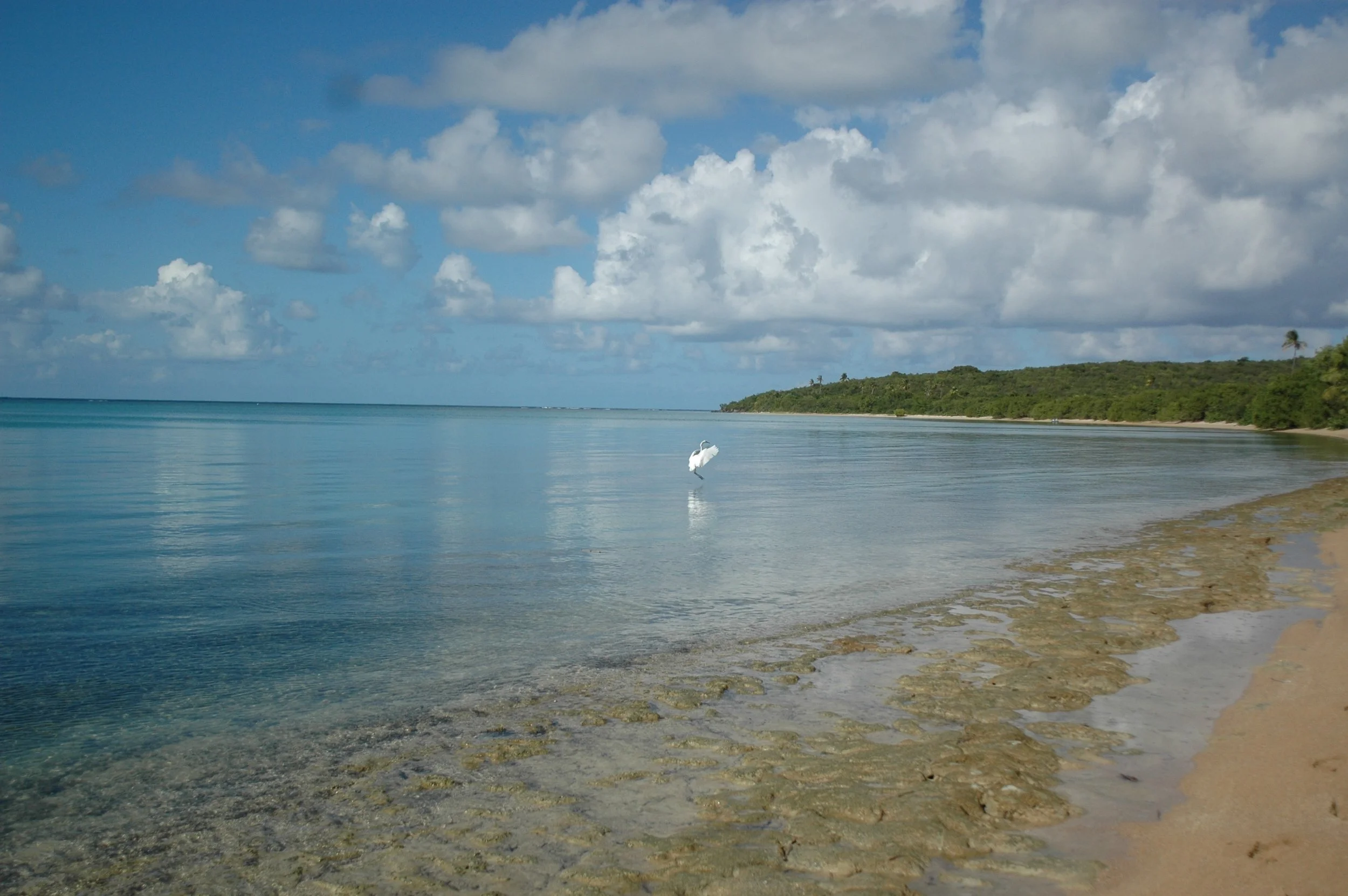 2006_PuertoRico_DSC_3120.jpg