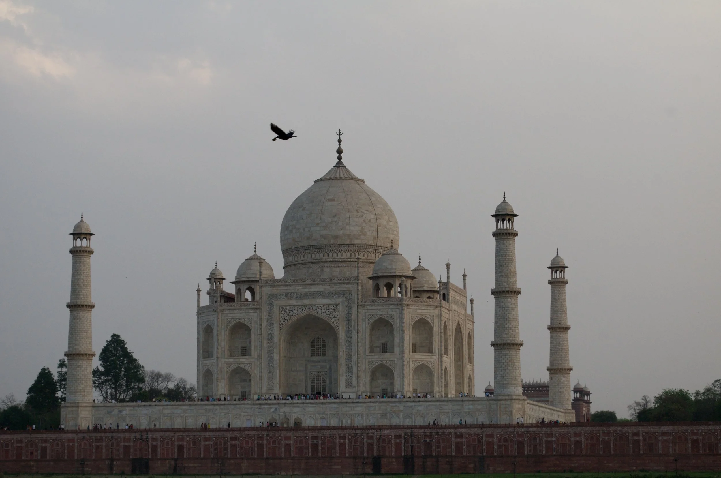 India_2012_JLS_2198.jpg
