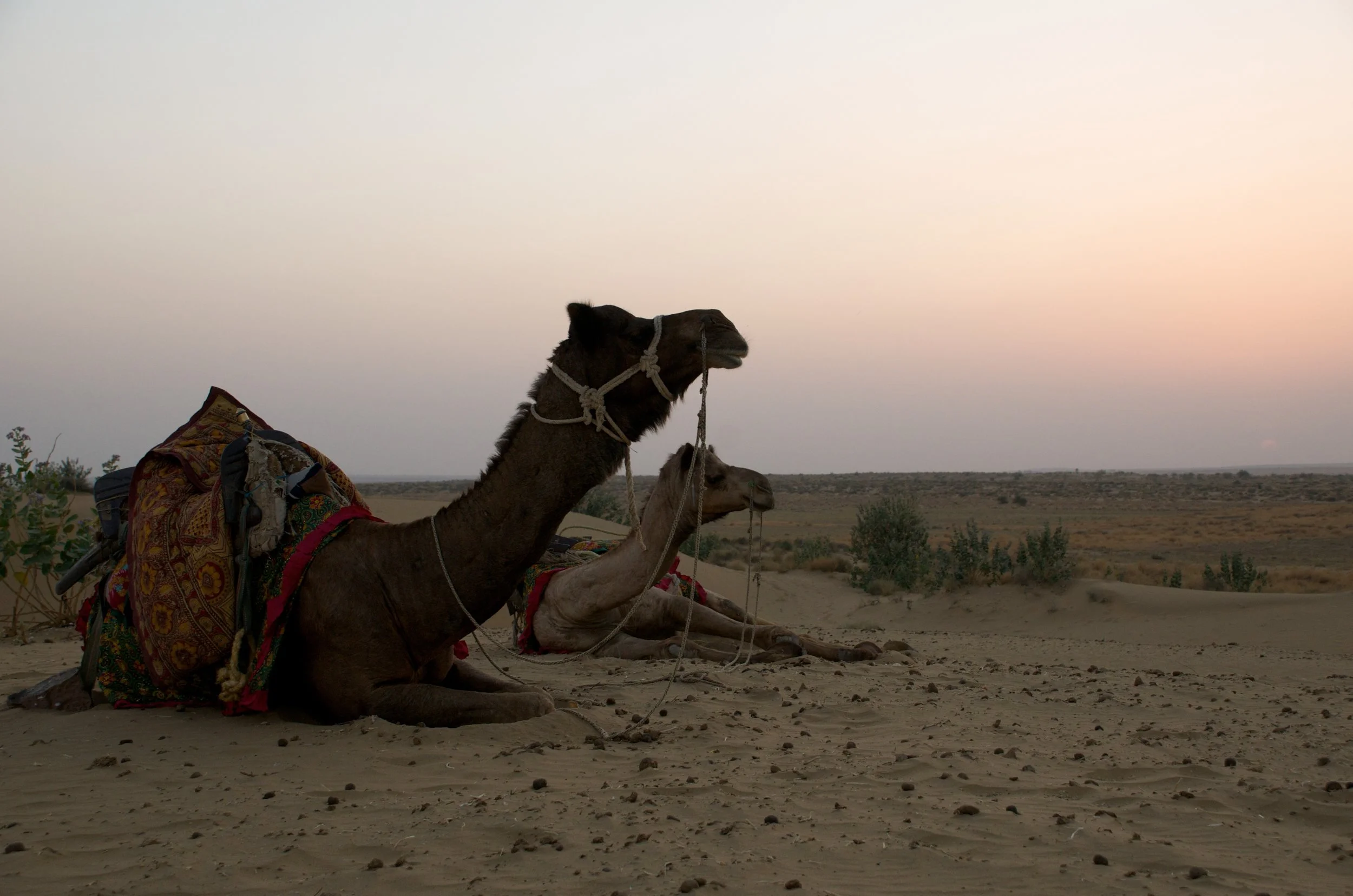 India_2012_JLS_9059.jpg