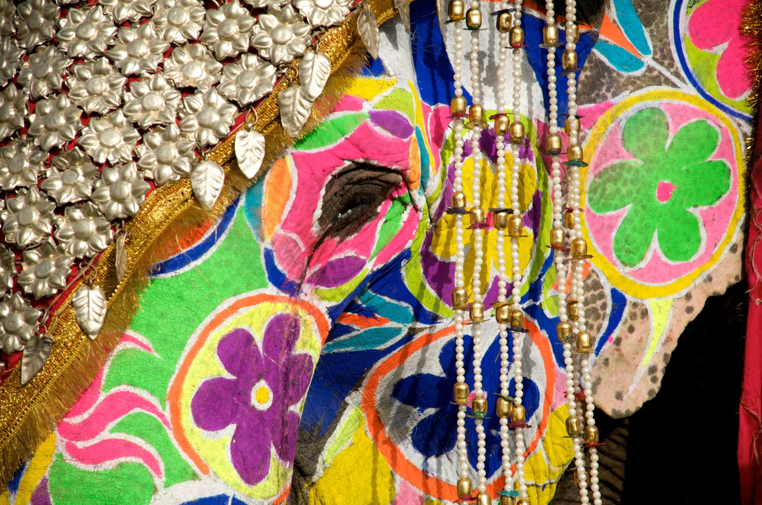India_2012_JLS_7836.jpg