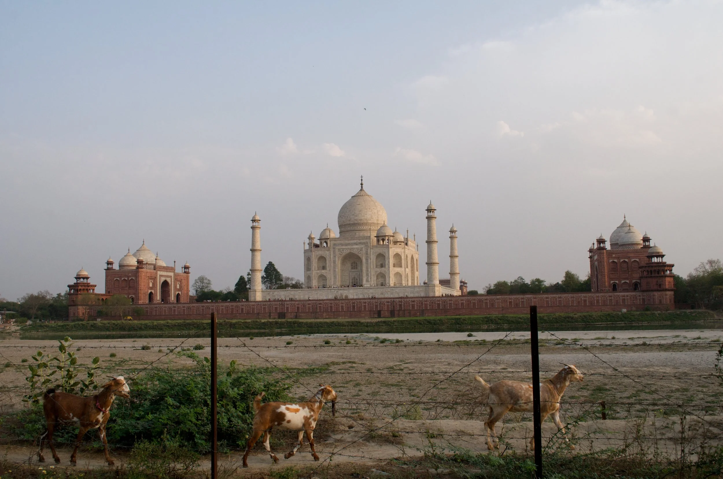 India_2012_JLS_2177.jpg