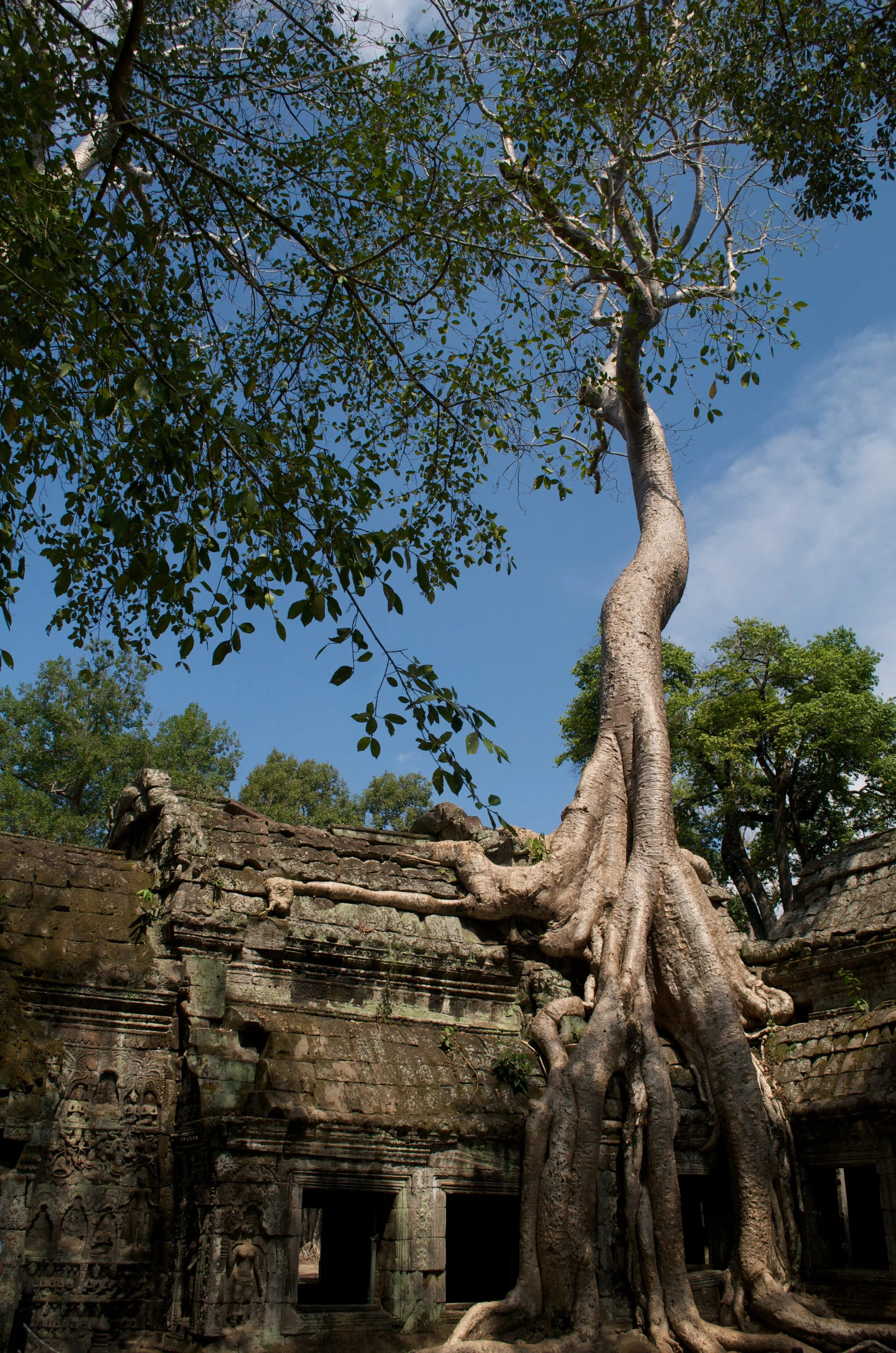 Cambodia_2012_JLS_6642.jpg