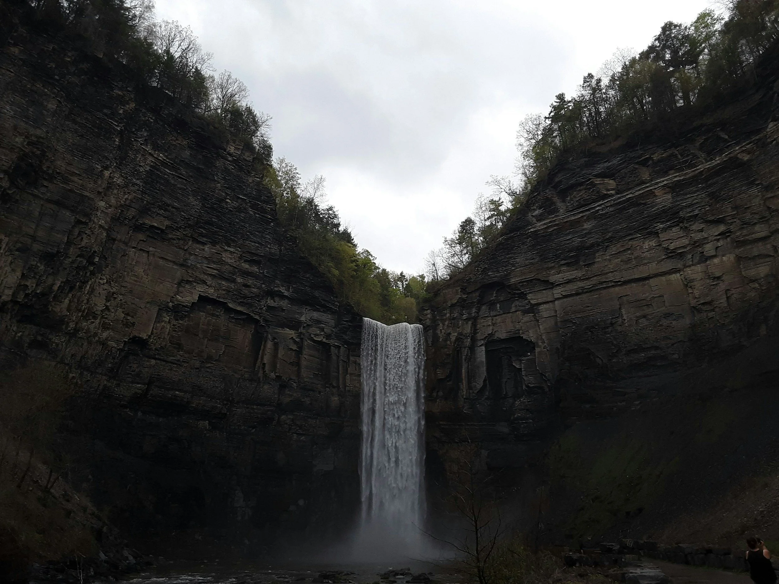 Best Elopement Spots in Finger Lakes: 5 Beautiful Places
