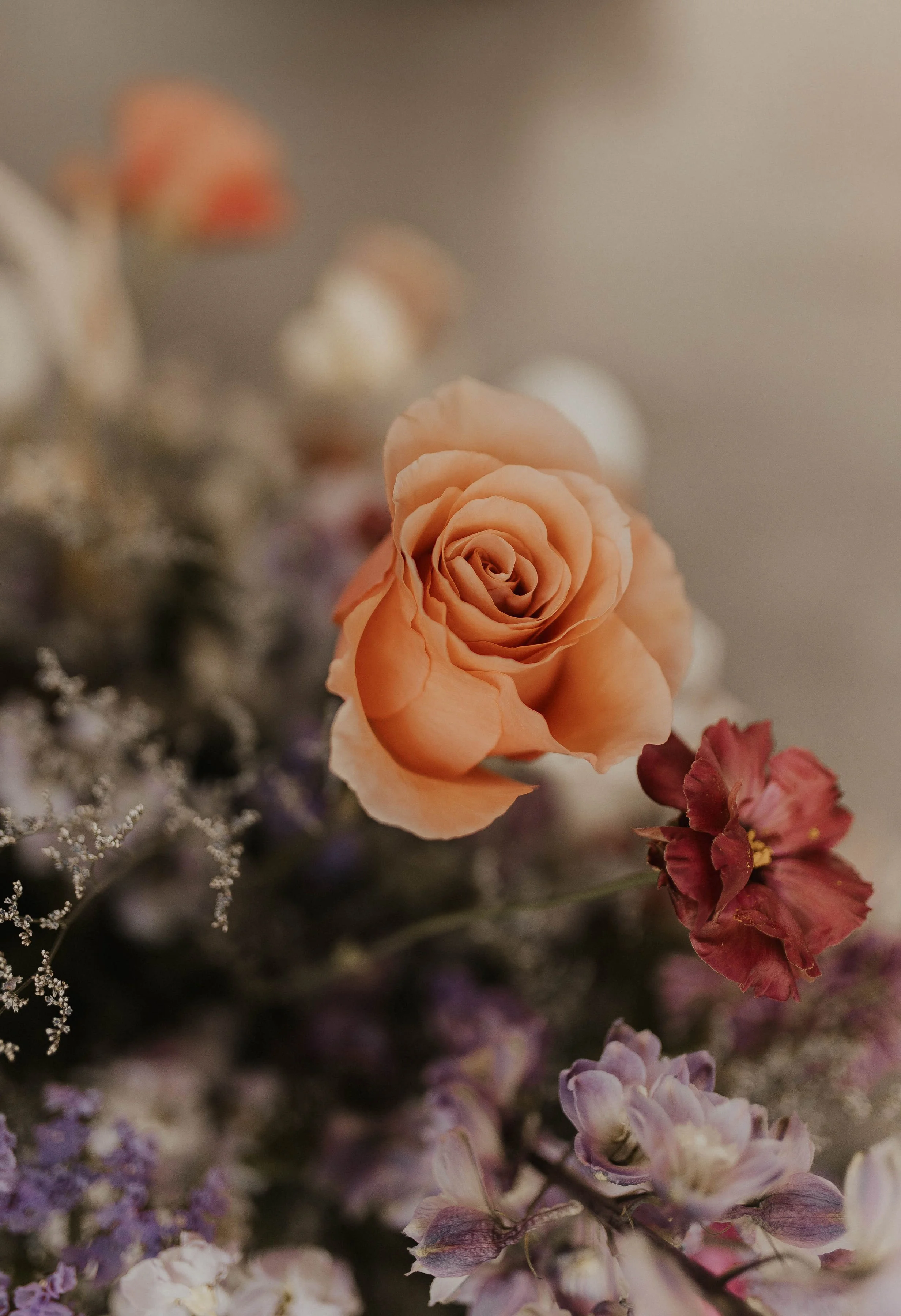 a close up of a bouquet of flowers with baby's breath and orange roses