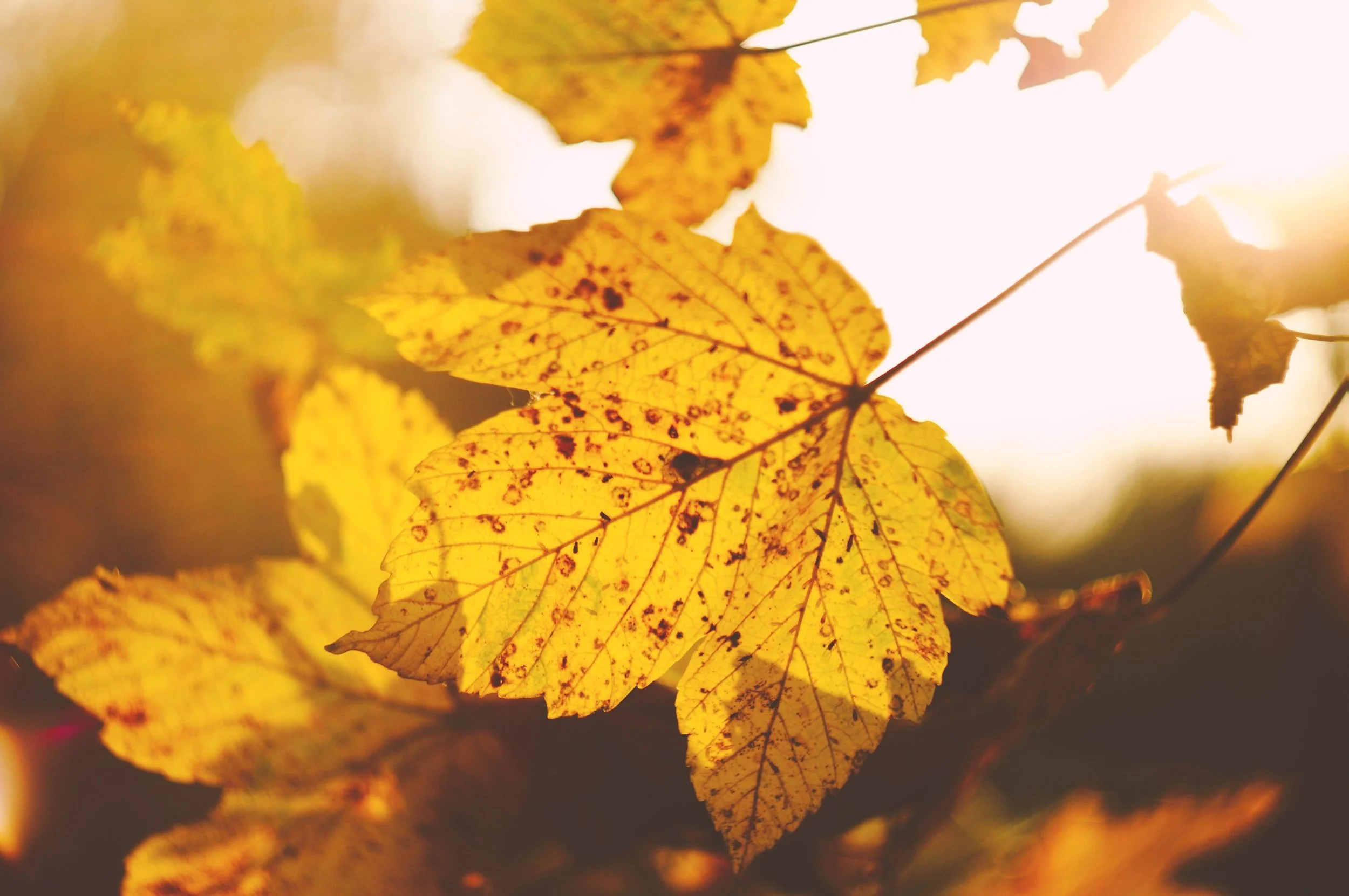 October and Everything After